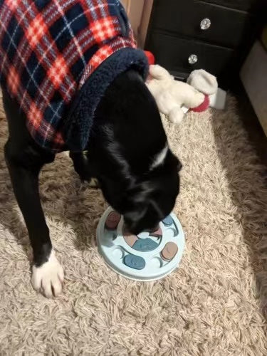 Aurum Paws IQ Puzzle Slow Feeder Bowl for Dogs & Cats