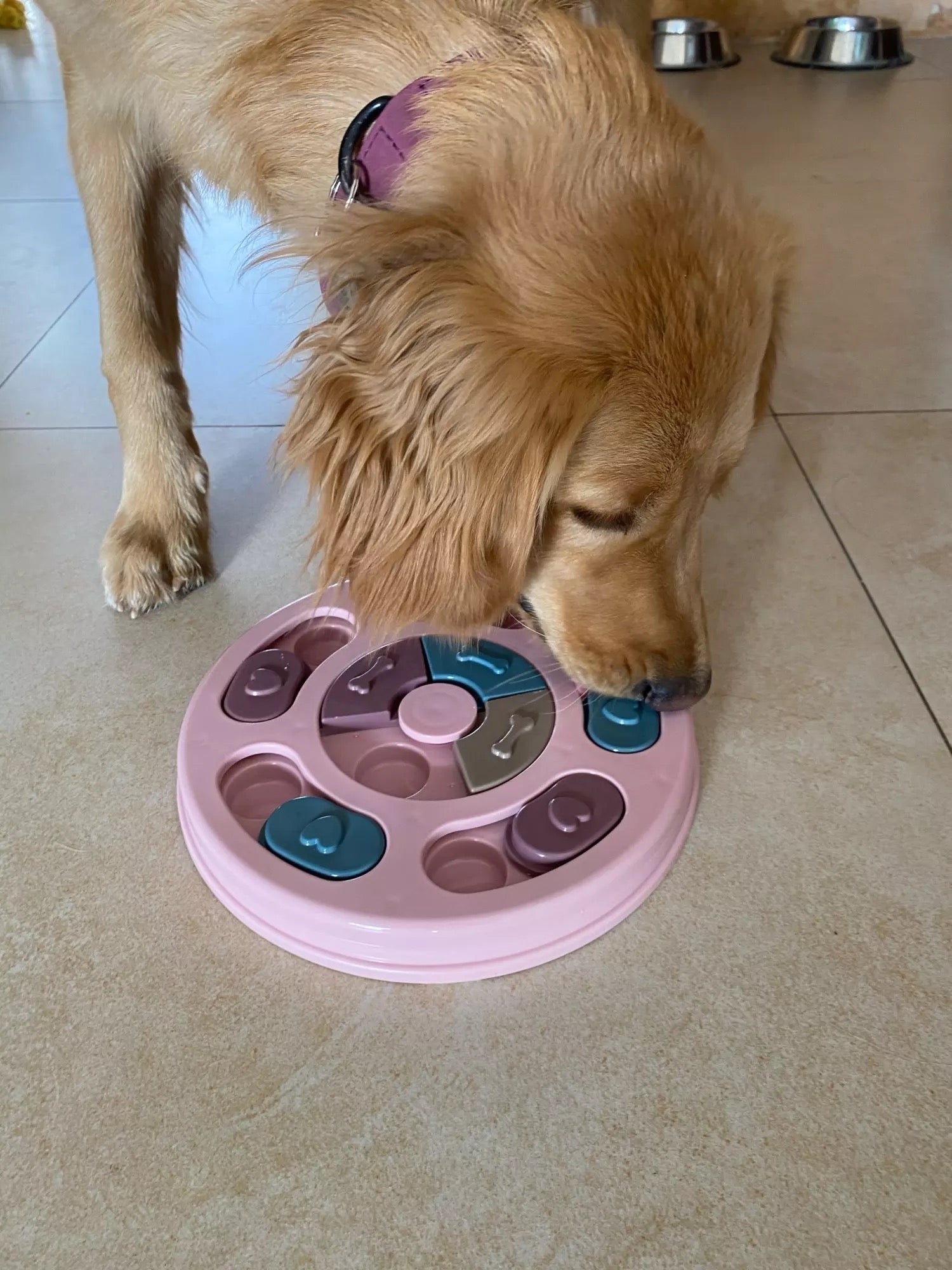 Aurum Paws IQ Puzzle Slow Feeder Bowl for Dogs & Cats