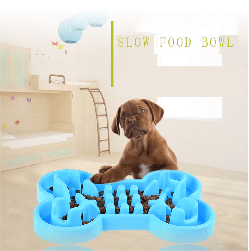 Aurum Paws Pet Puzzler: Slow Feed Travel Bowl