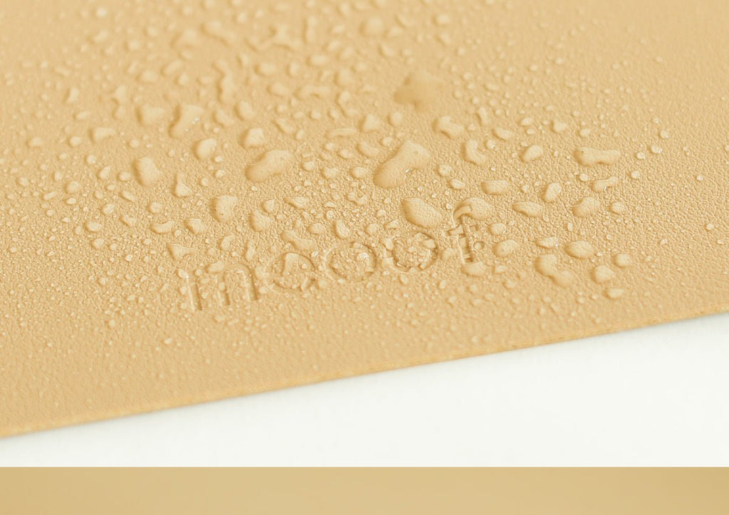 Aurum Paws Waterproof Feeding Mat