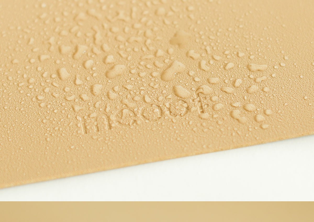 Aurum Paws Waterproof Feeding Mat